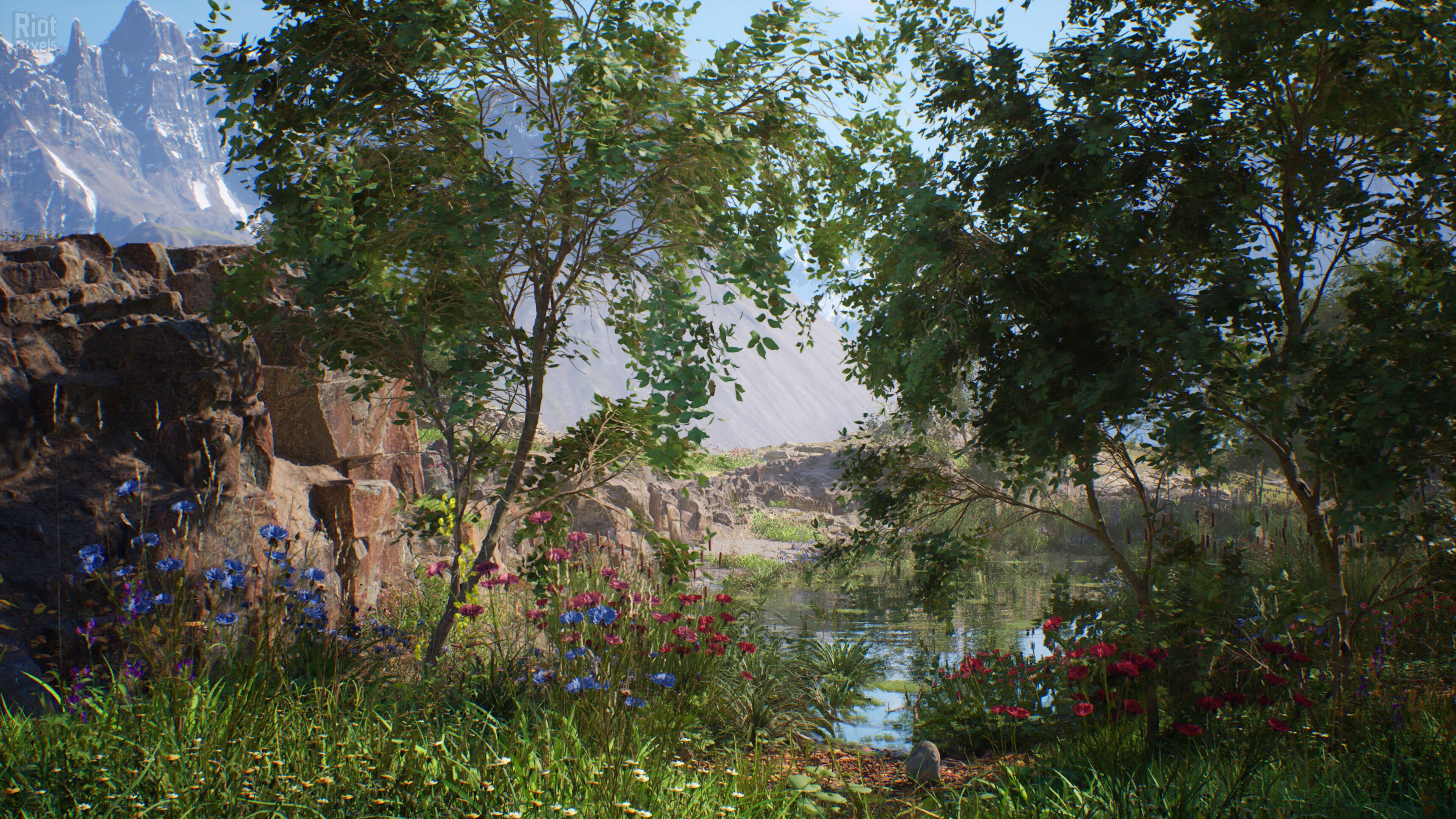 [14]-Stone Simulator: Just Be a Rock Download