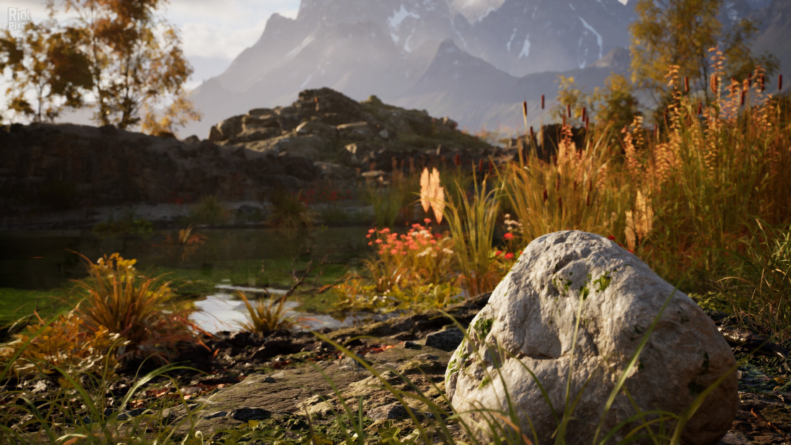 [4]-Stone Simulator: Just Be a Rock Download