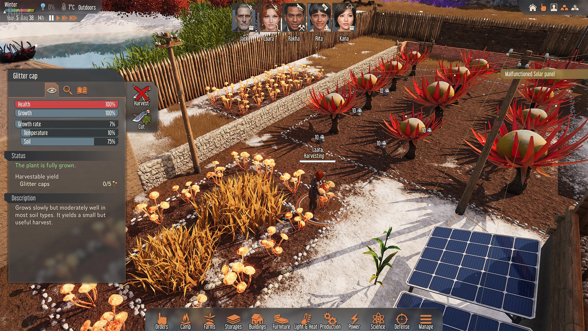 [15]-Stranded: Alien Dawn – Premium Edition, v1.23.250612 (Denuvoless) + 3 DLCs/Bonuses Download