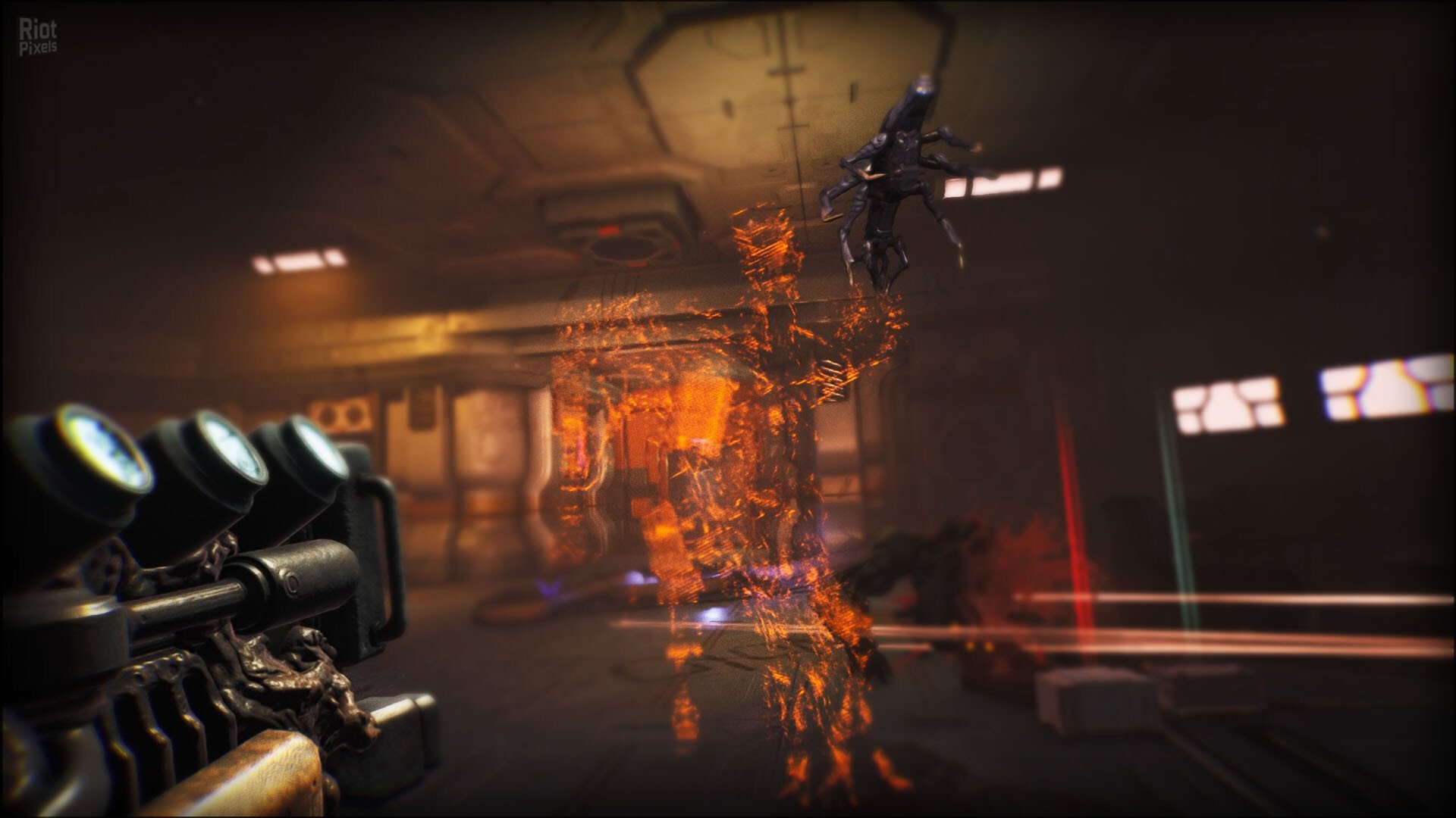 [2]-RIPOUT – v1.41:01 Download