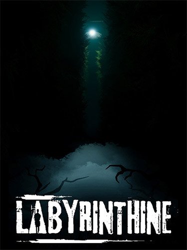 Labyrinthine: Supporter Edition, Build 19705579 + DLC-HohohoGames
