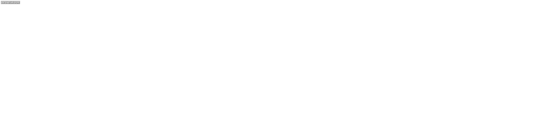 [27]-RIPOUT – v1.41:01 Download