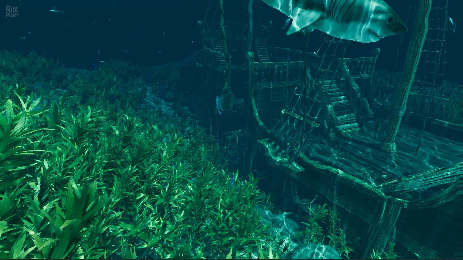 [14]-Island Notes Download