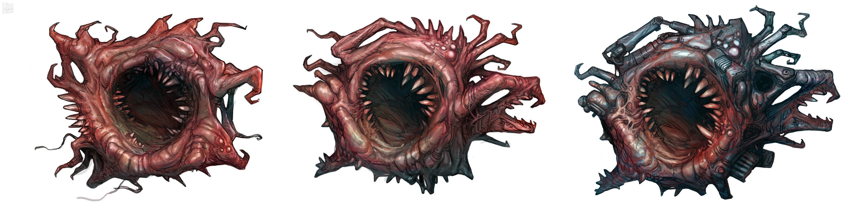 [30]-RIPOUT – v1.41:01 Download