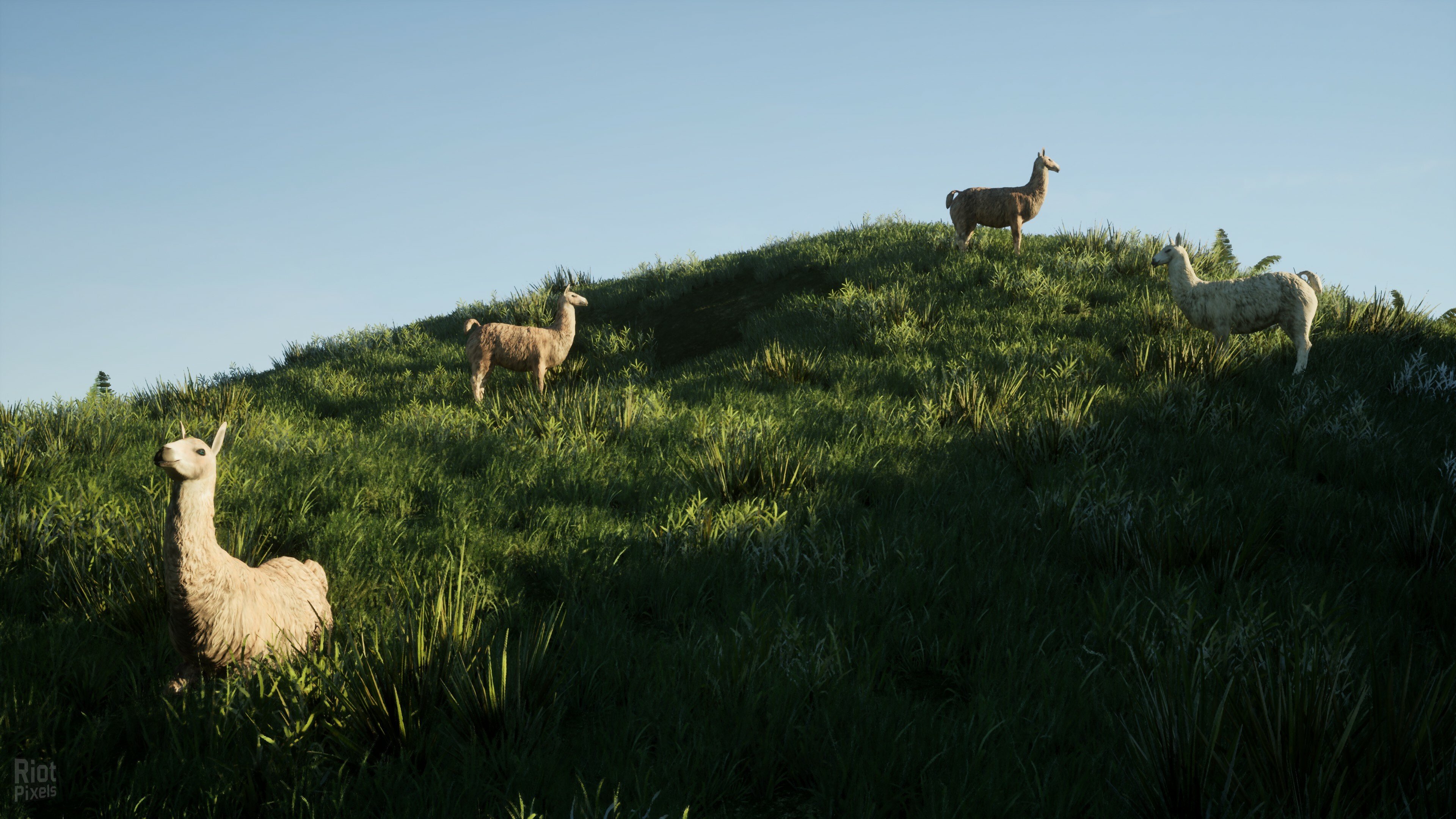 [15]-Drug Dealer Simulator 2 – v1.1 Build 19586234 + 3 DLCs/Bonuses + Windows 7 Fix Download