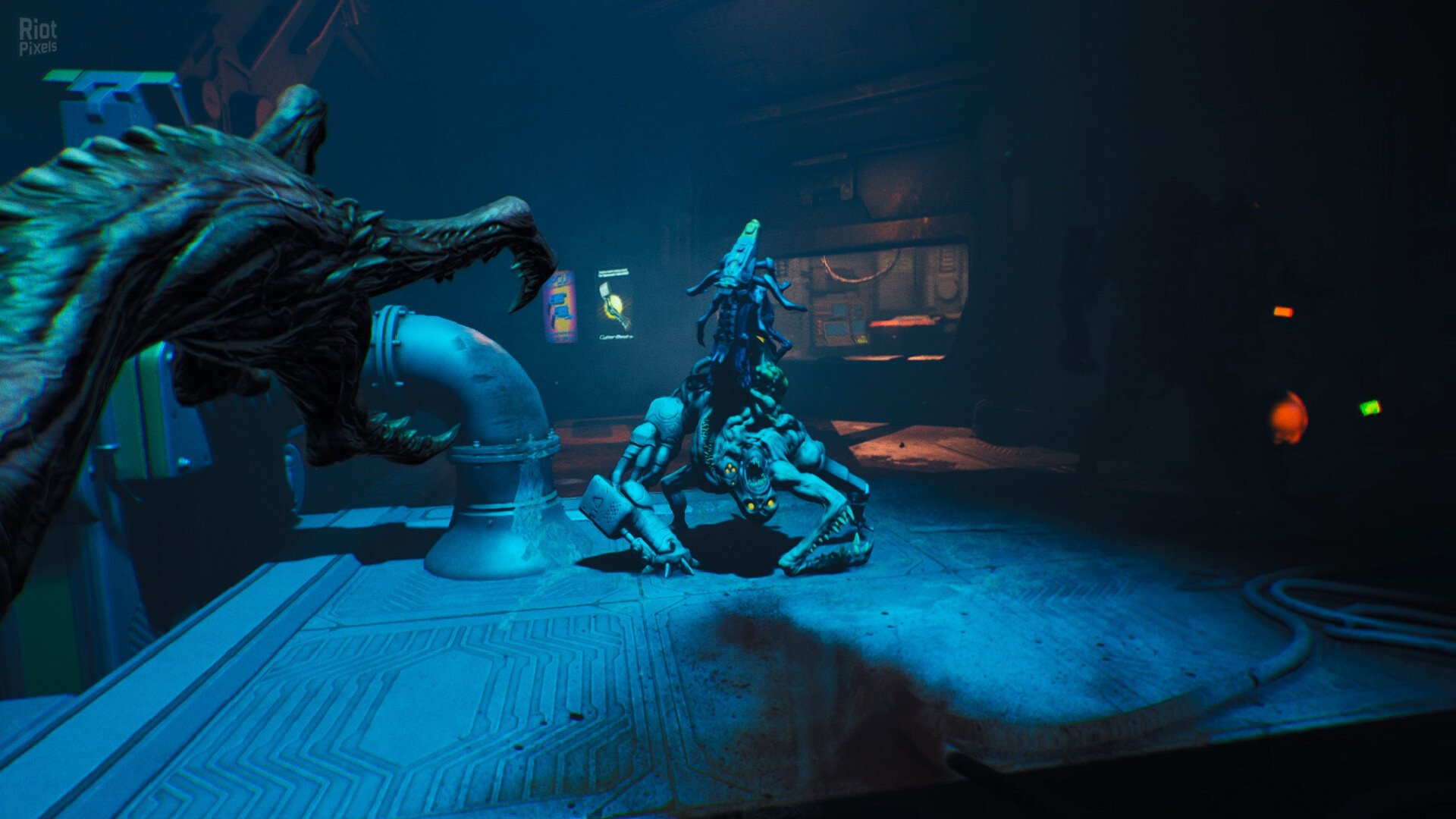 [14]-RIPOUT – v1.41:01 Download