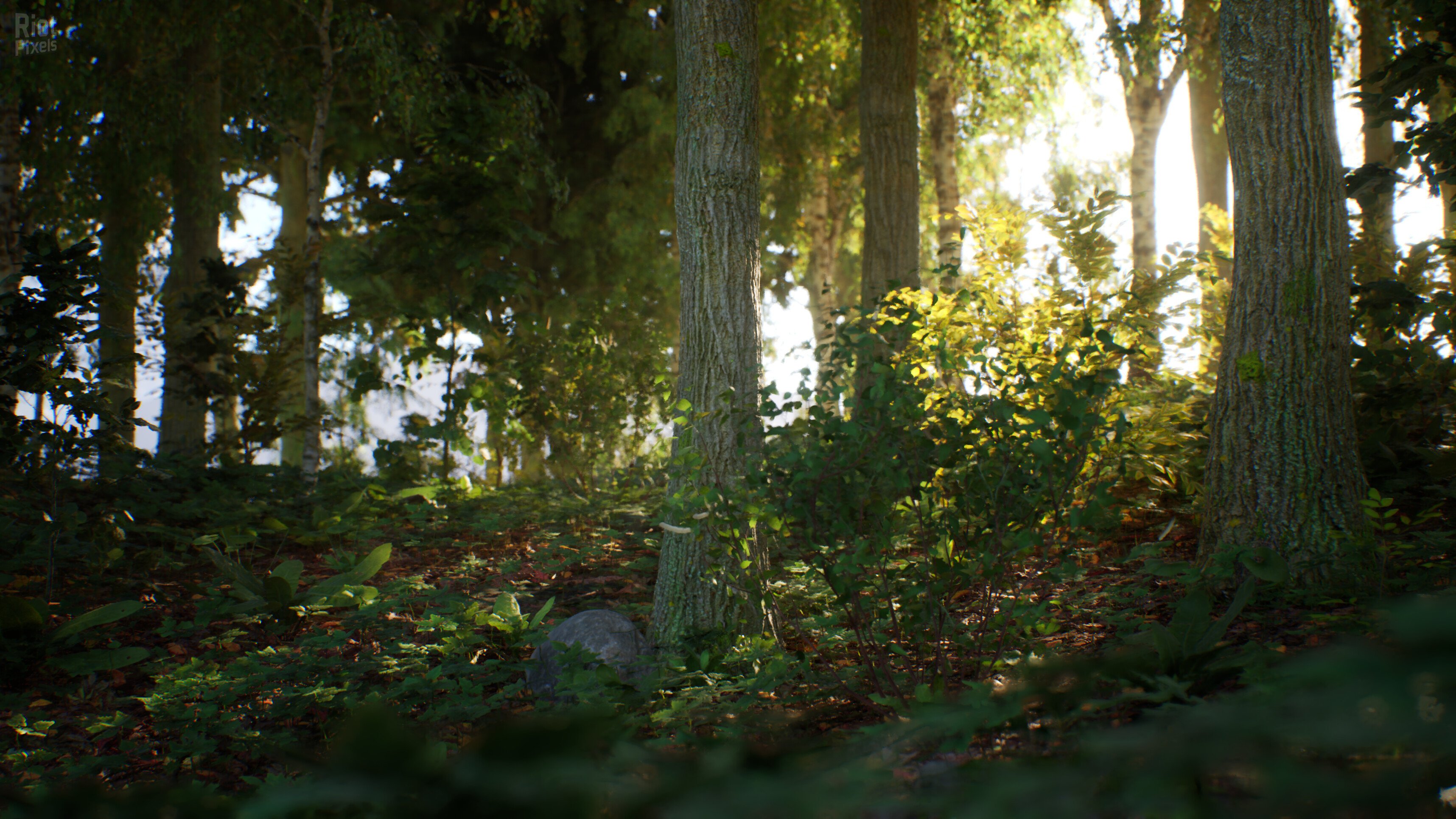 [5]-Stone Simulator: Just Be a Rock Download