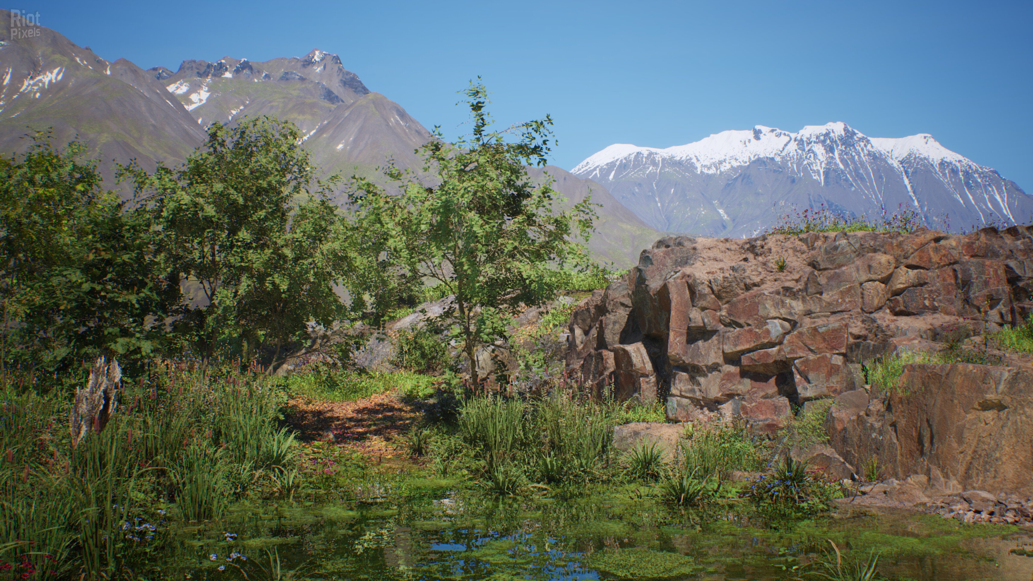 [12]-Stone Simulator: Just Be a Rock Download