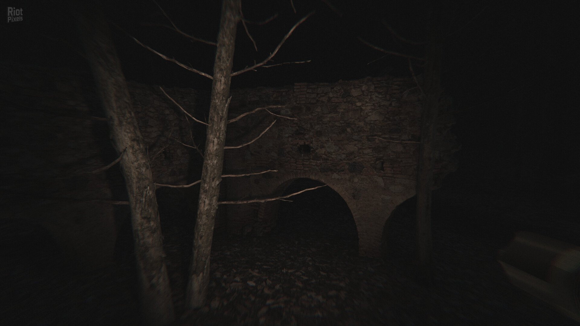 [11]-Dead Silence: Echoes of the Damned Download