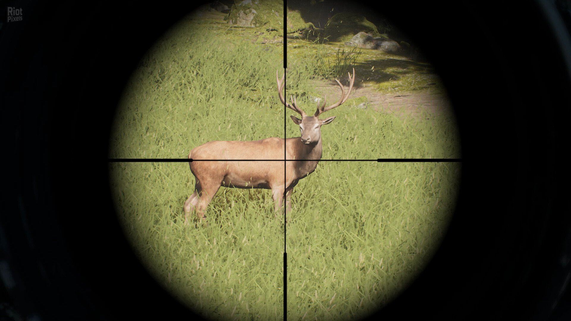 [14]-Project Hunt – v2025-9-25 + Lone Star Hunting Ranch DLC Download