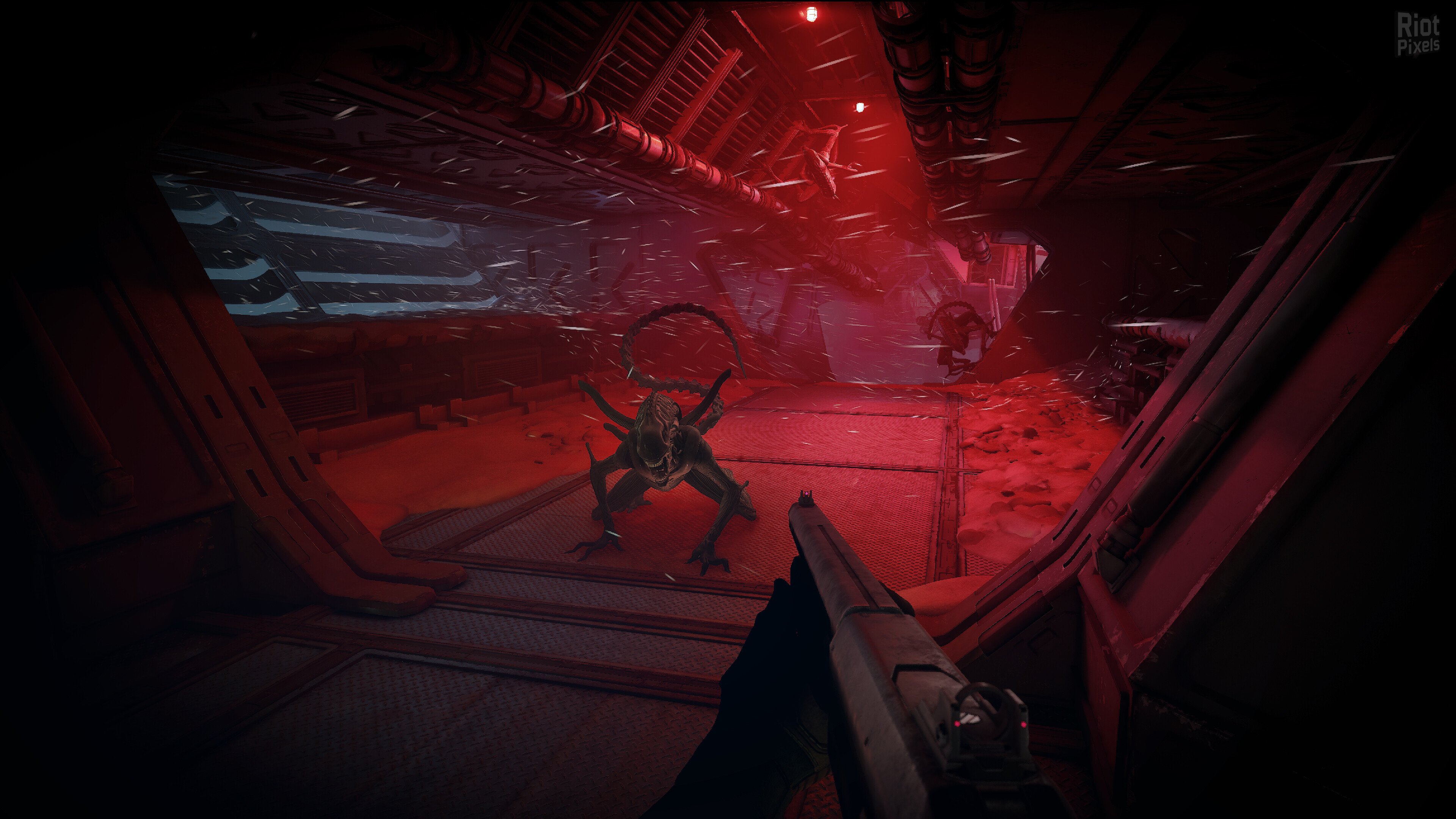 [3]-Alien: Rogue Incursion Evolved Edition – Deluxe + 2 DLCs Download