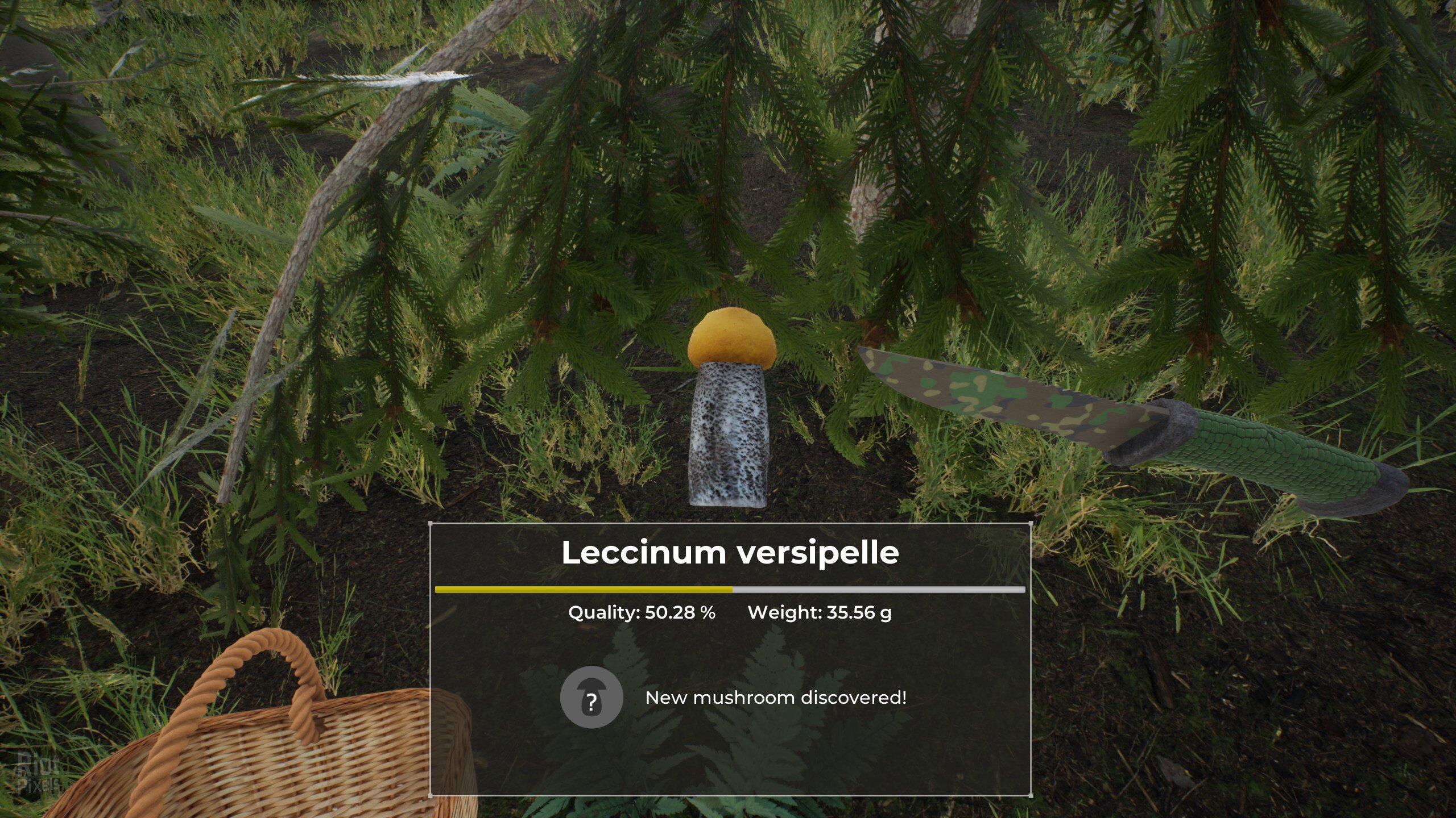[9]-Mushroom Hunter World – v1.0.2 Download