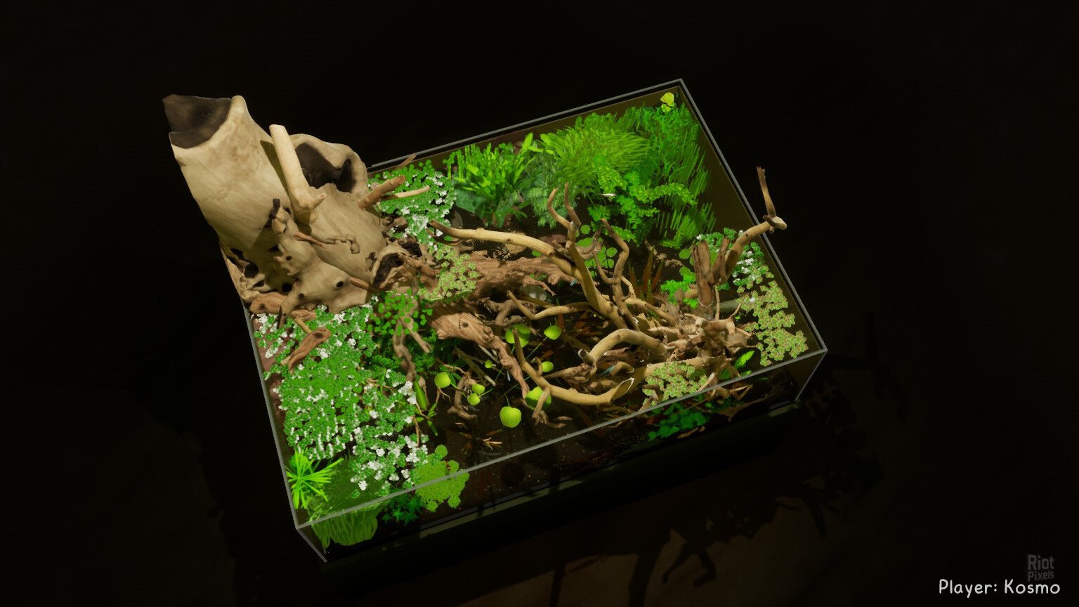 [13]-Fish Game – Build 19987652 + 6 DLCs Download