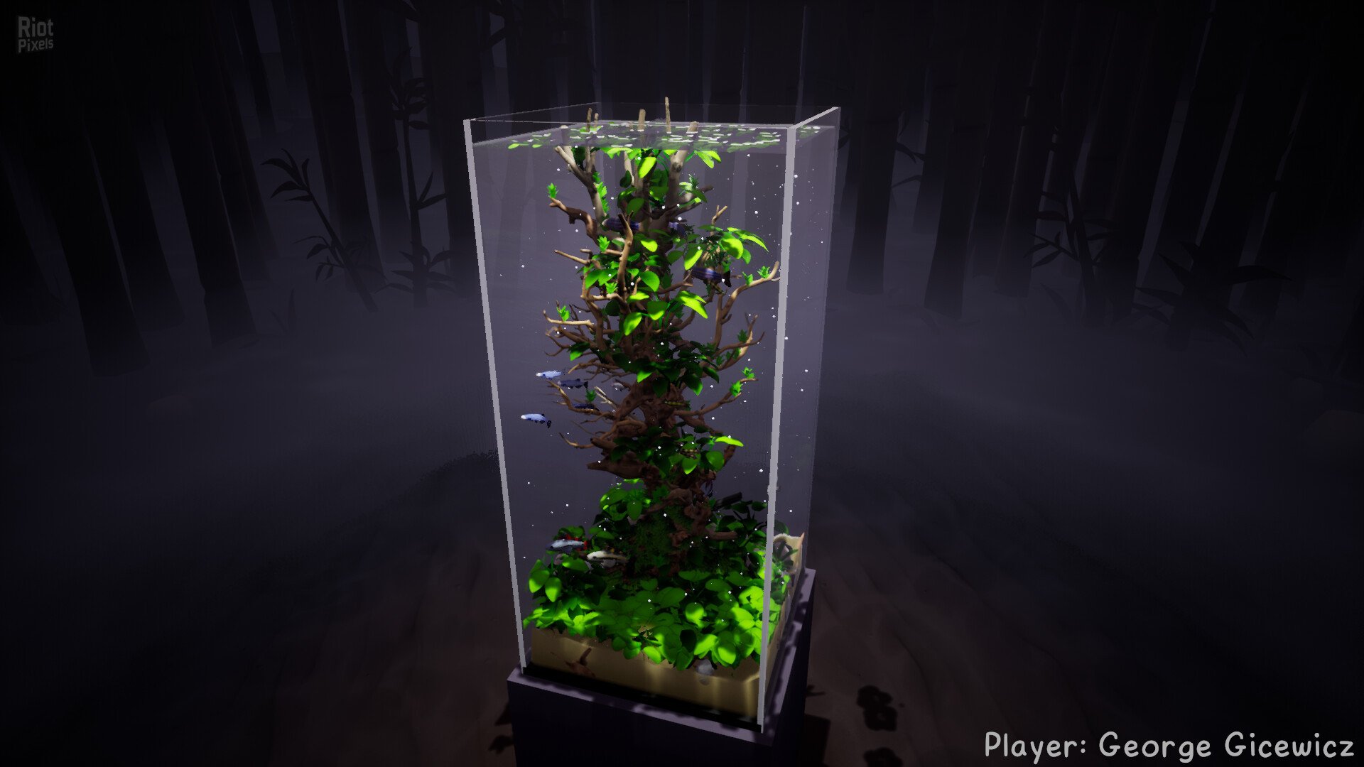 [11]-Fish Game – Build 19987652 + 6 DLCs Download