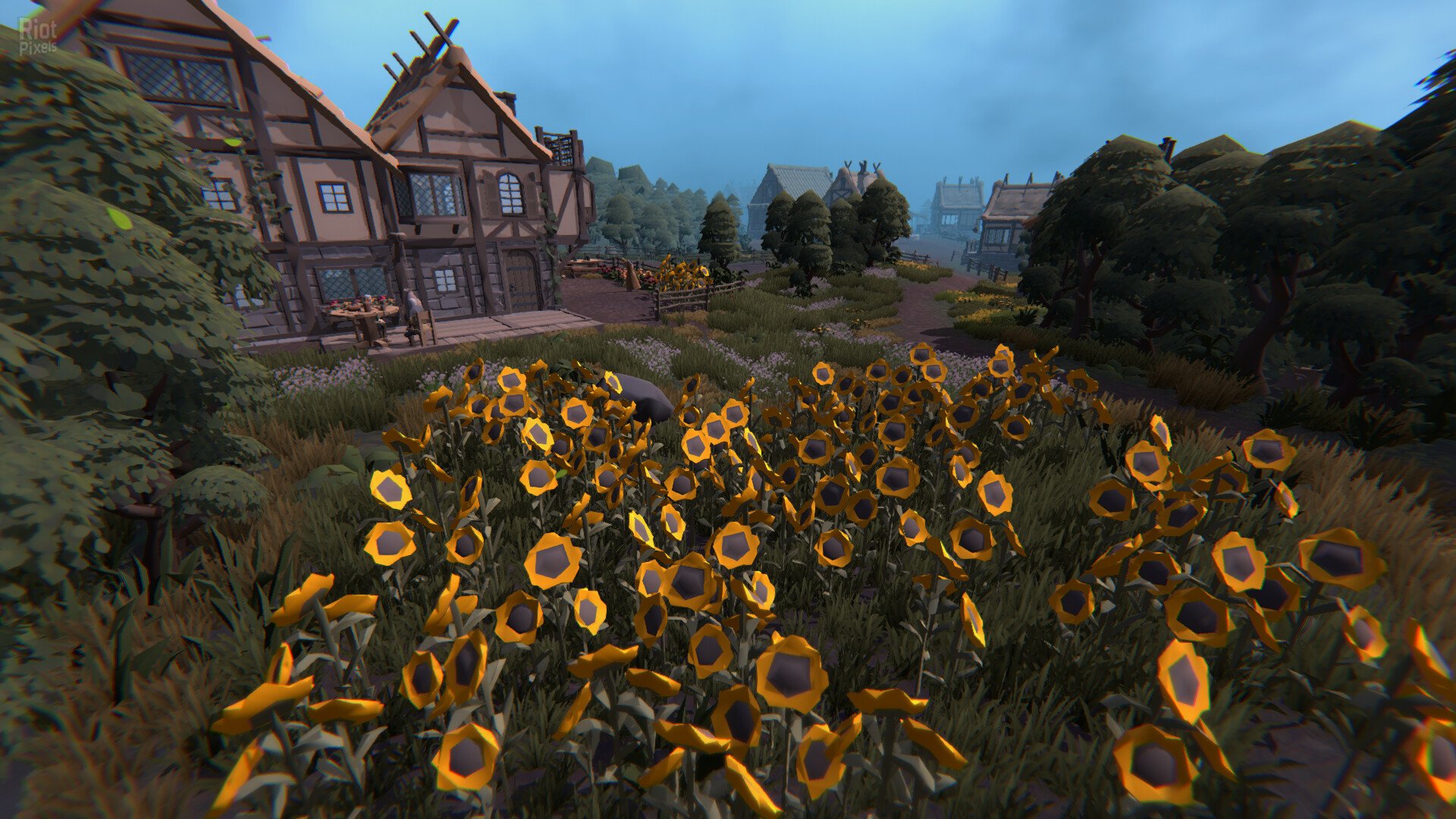 [9]-The Black Grimoire: Cursebreaker – Build 20372594 Download