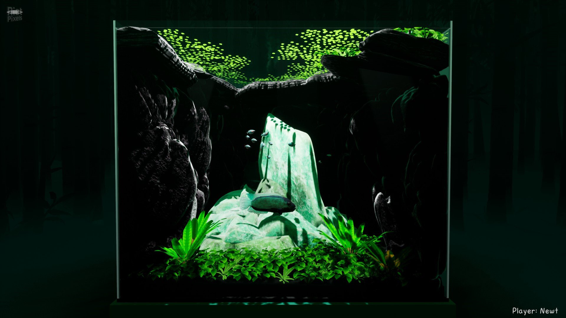 [6]-Fish Game – Build 19987652 + 6 DLCs Download