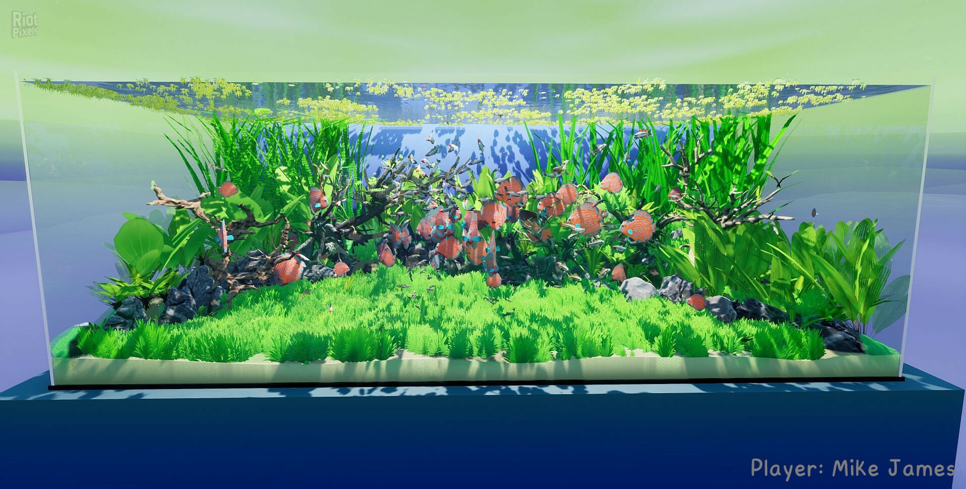 [8]-Fish Game – Build 19987652 + 6 DLCs Download