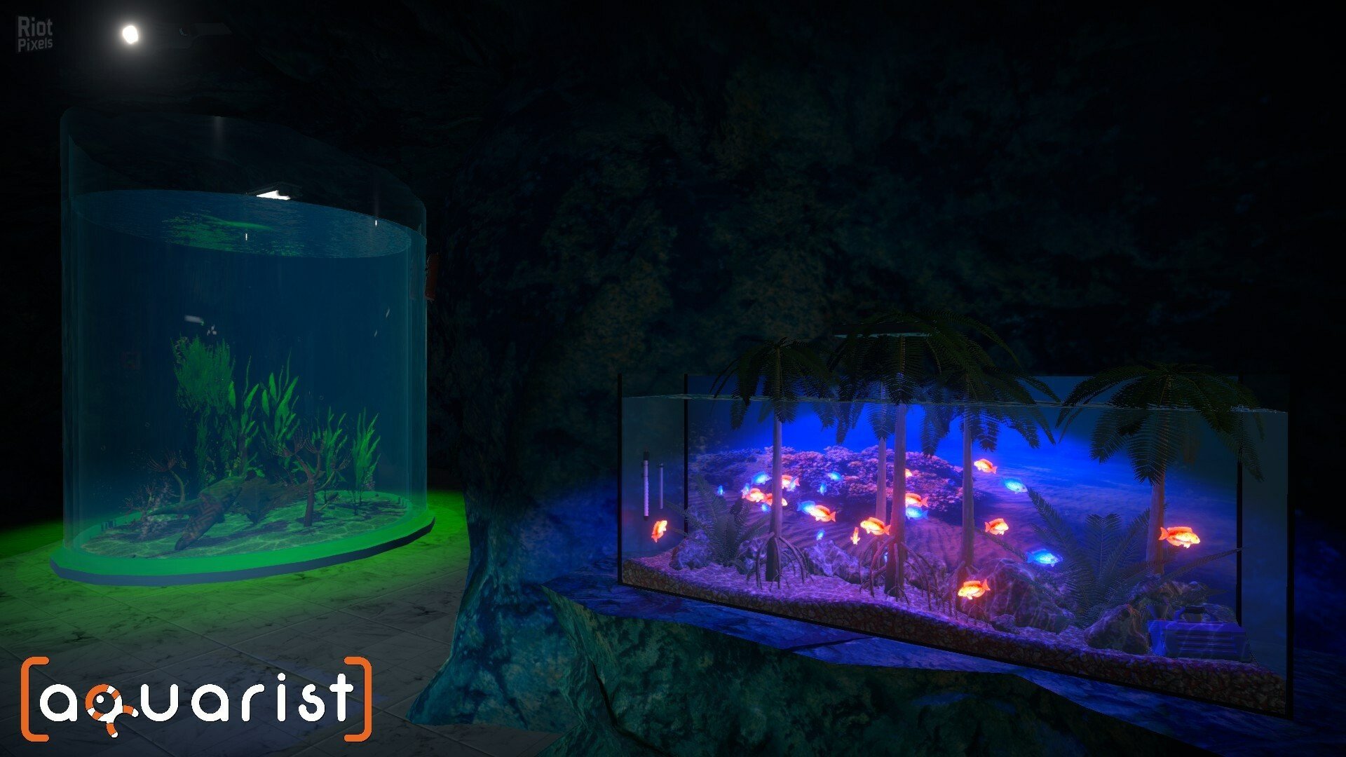 [14]-Aquarist: Full Experience Bundle – Build 20830229 + 5 DLCs Download