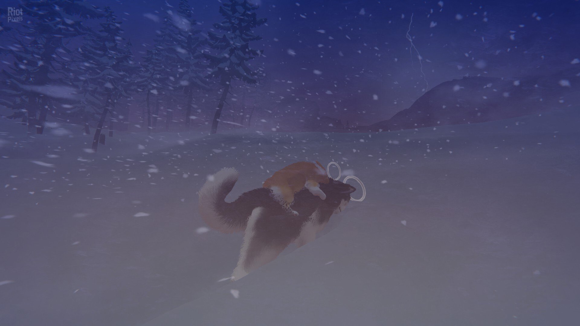 [9]-My Little Puppy – v1.0.2517.124175 Download