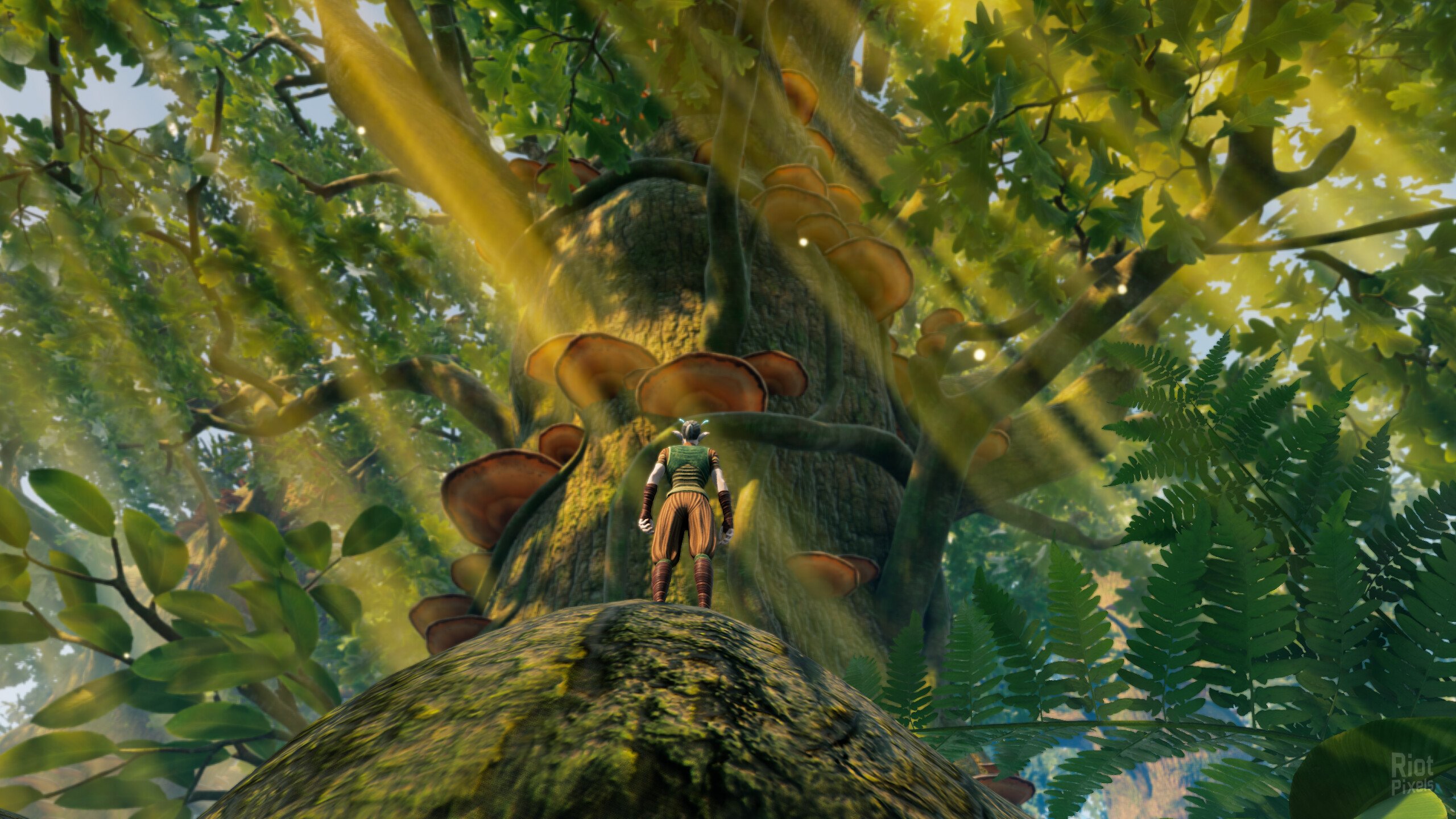 [8]-Smalland: Survive the Wilds & Soundtracks, v2.1.1_39_1164cd83 + Bonus OST Download