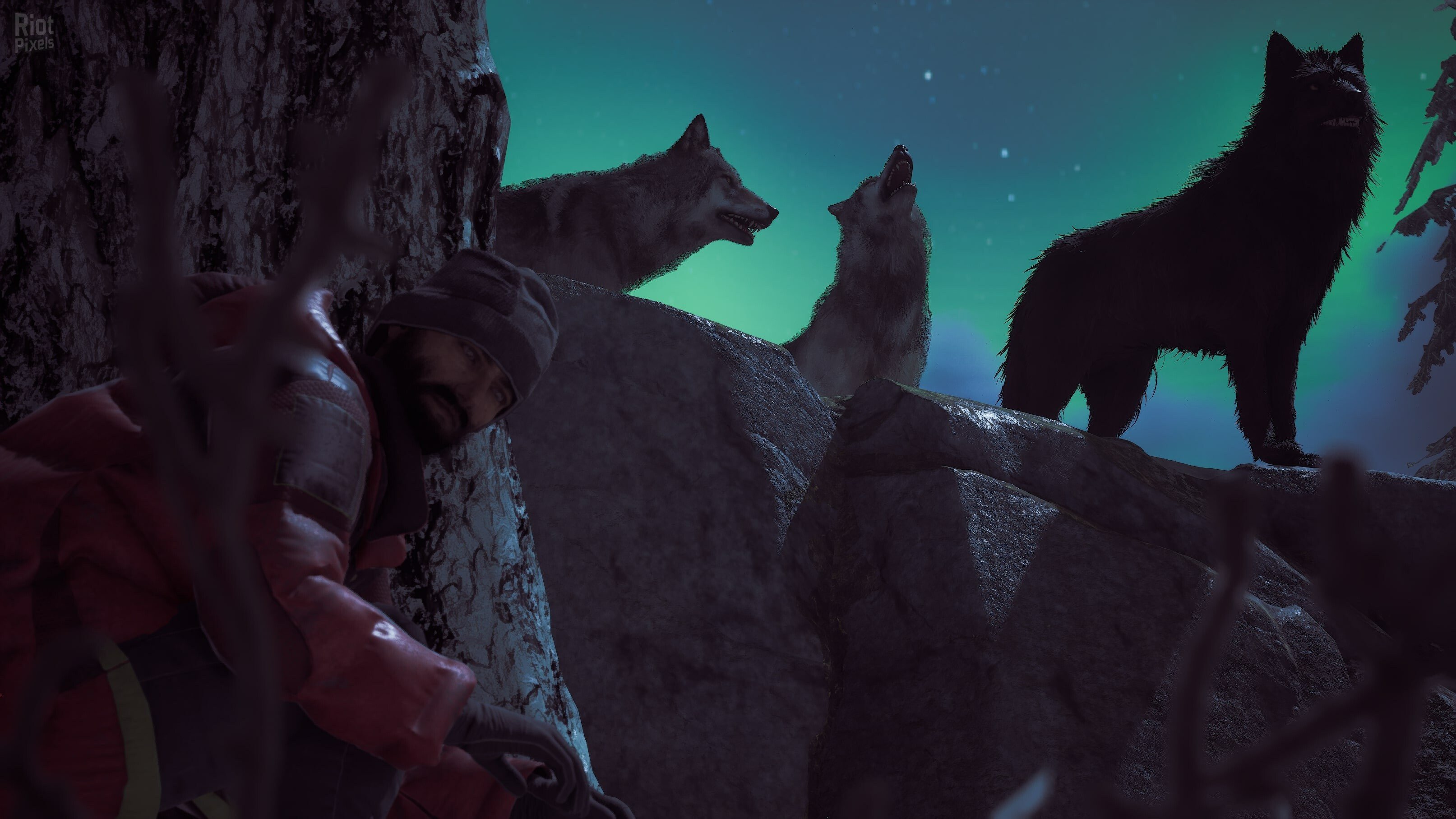 [11]-Winter Survival – v49966 (Release) Download