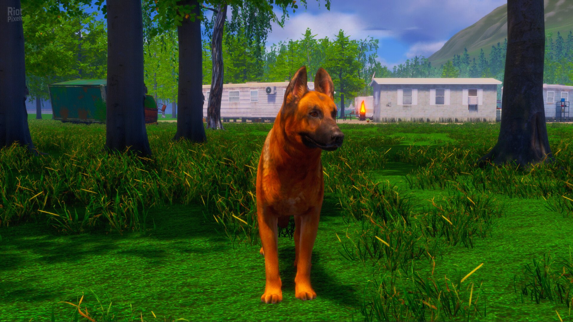 [3]-Lost Paws – v1.0.5 Download