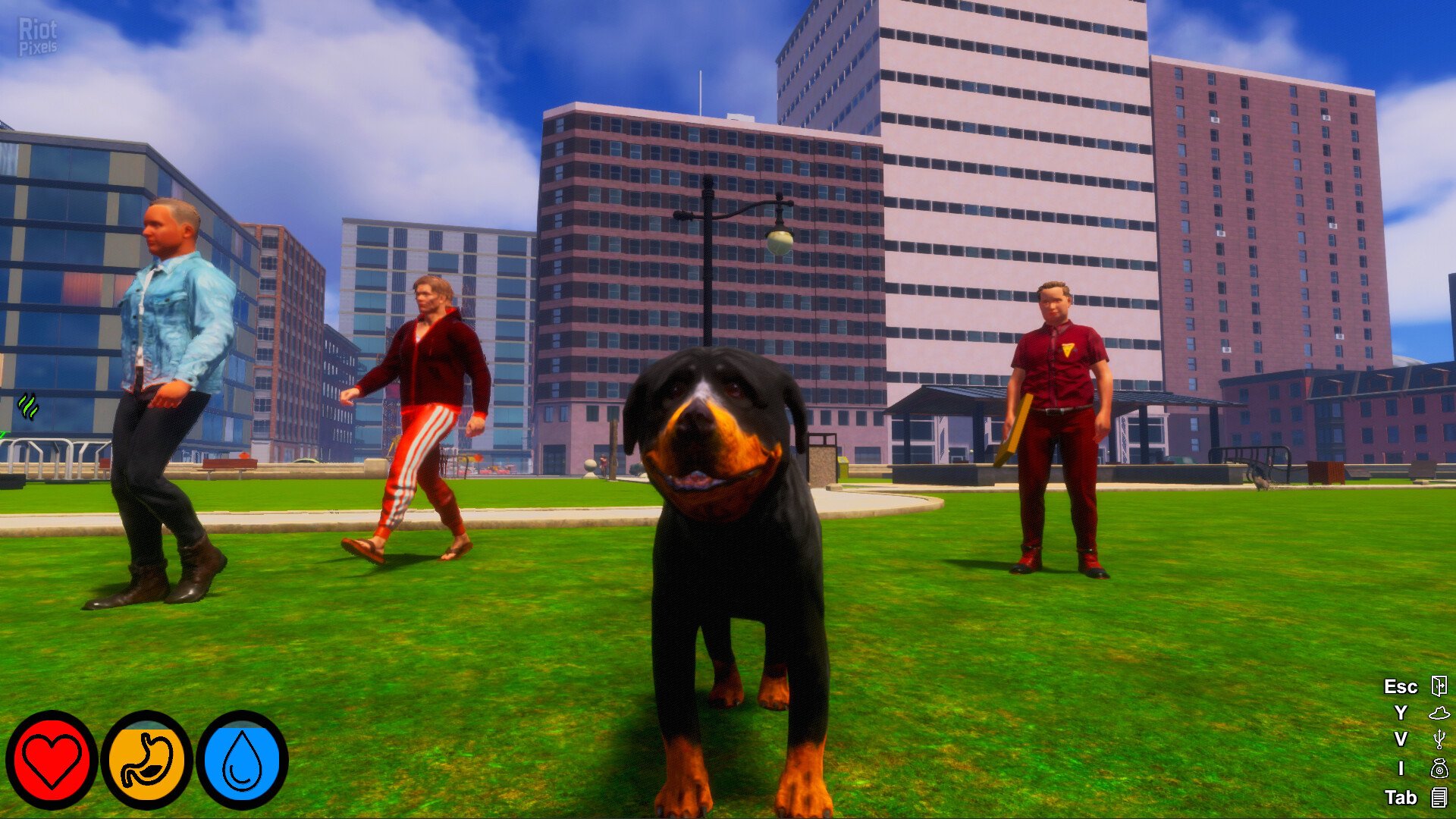 [9]-Lost Paws – v1.0.5 Download