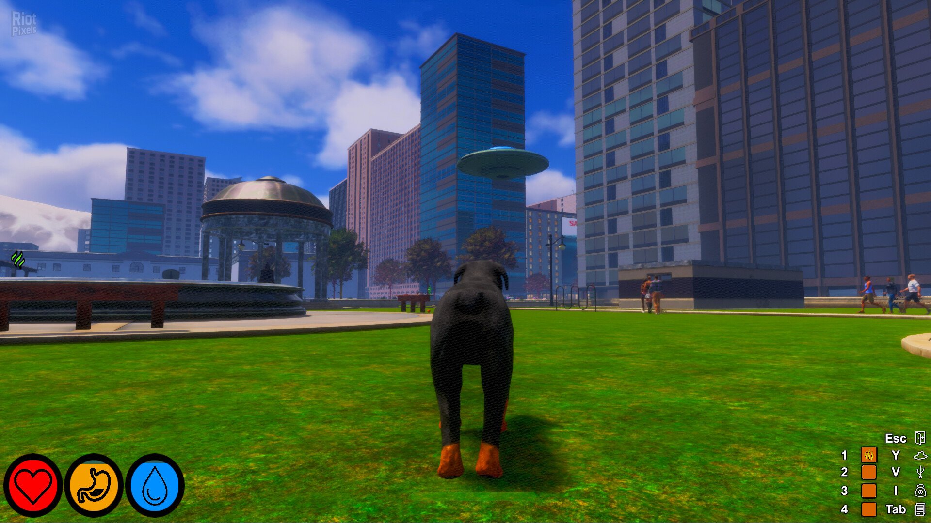 [11]-Lost Paws – v1.0.5 Download