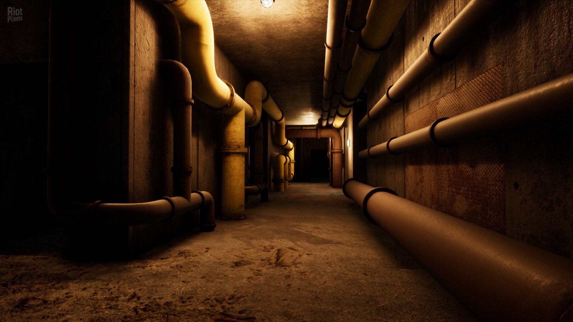 [12]-Escape the Backrooms – v1.2510 (Release) Download