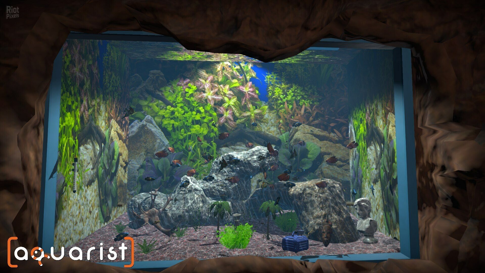 [7]-Aquarist: Full Experience Bundle – Build 20830229 + 5 DLCs Download