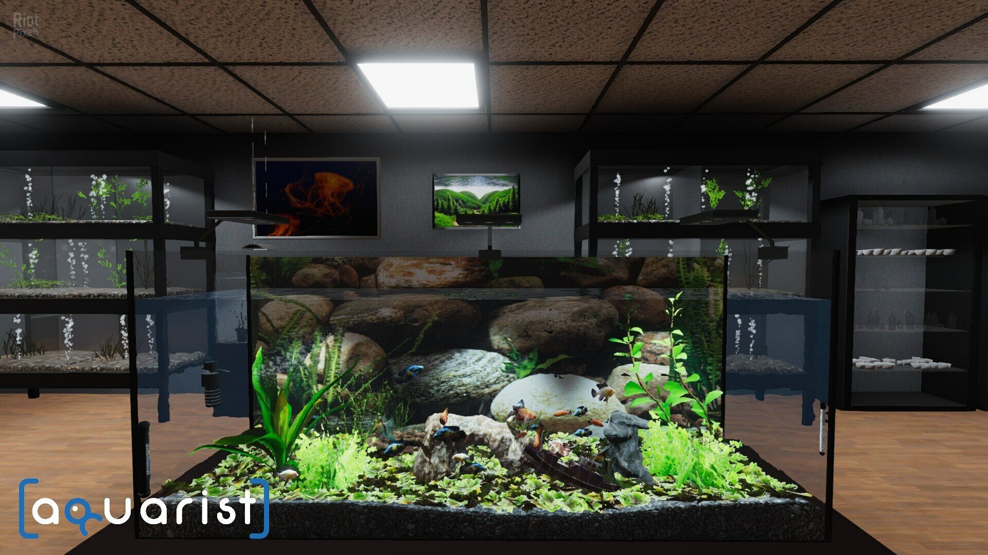 [9]-Aquarist: Full Experience Bundle – Build 20830229 + 5 DLCs Download