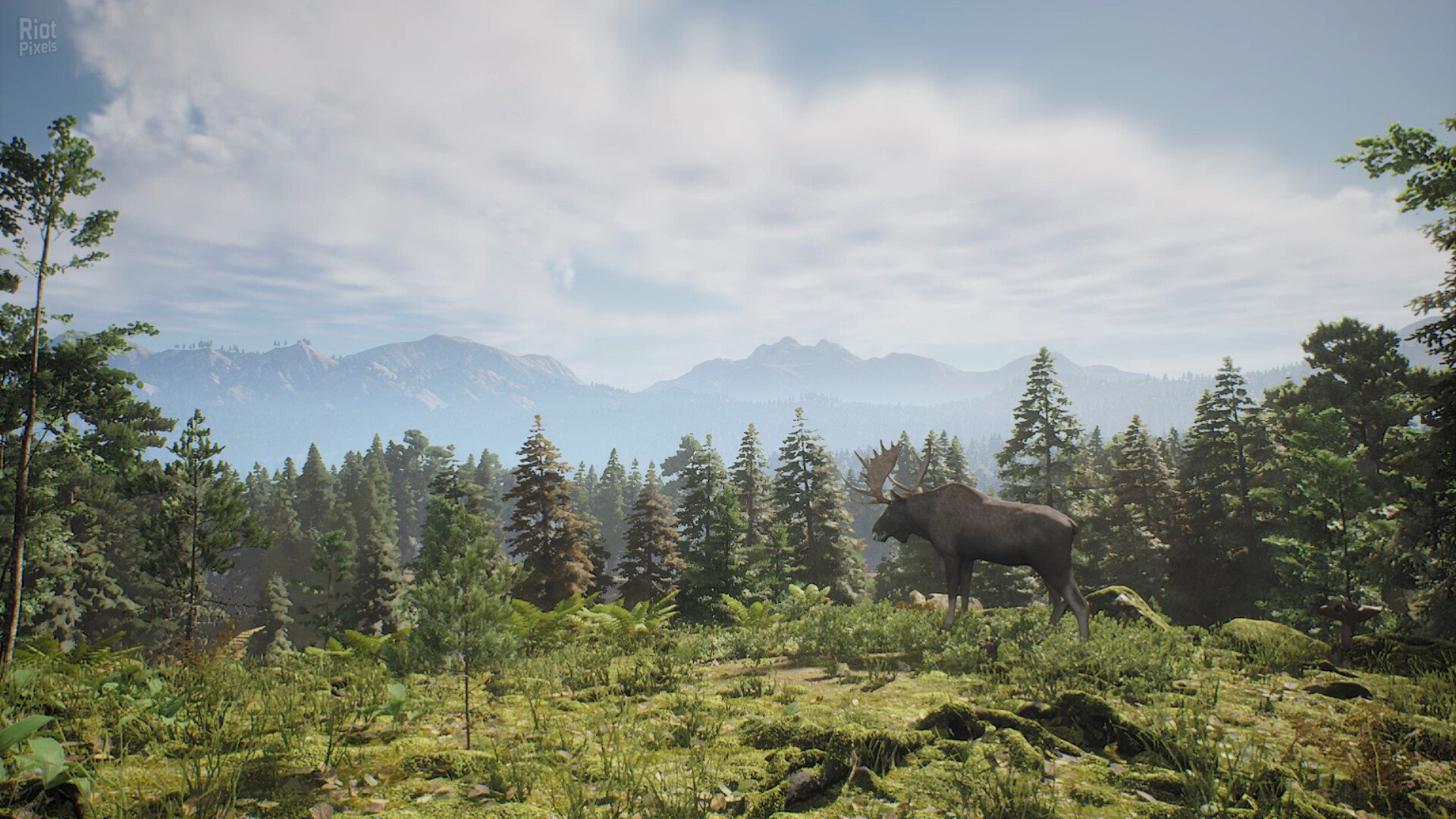 [2]-Project Hunt: Hunter’s Collection – Build 21226542 + 3 DLCs Download