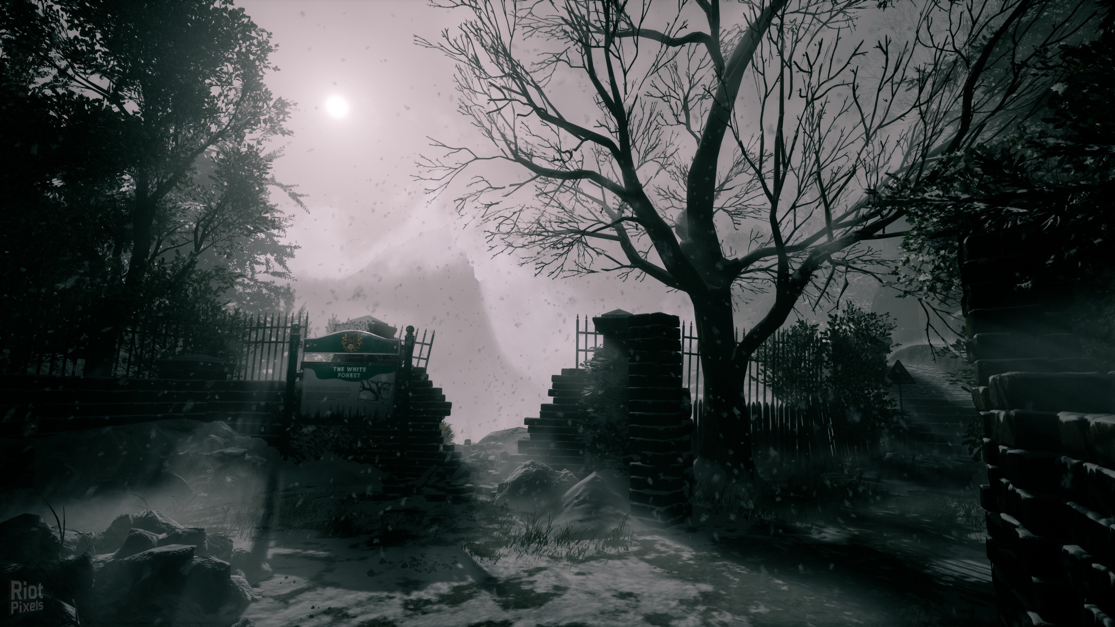 [5]-She’s Leaving Download