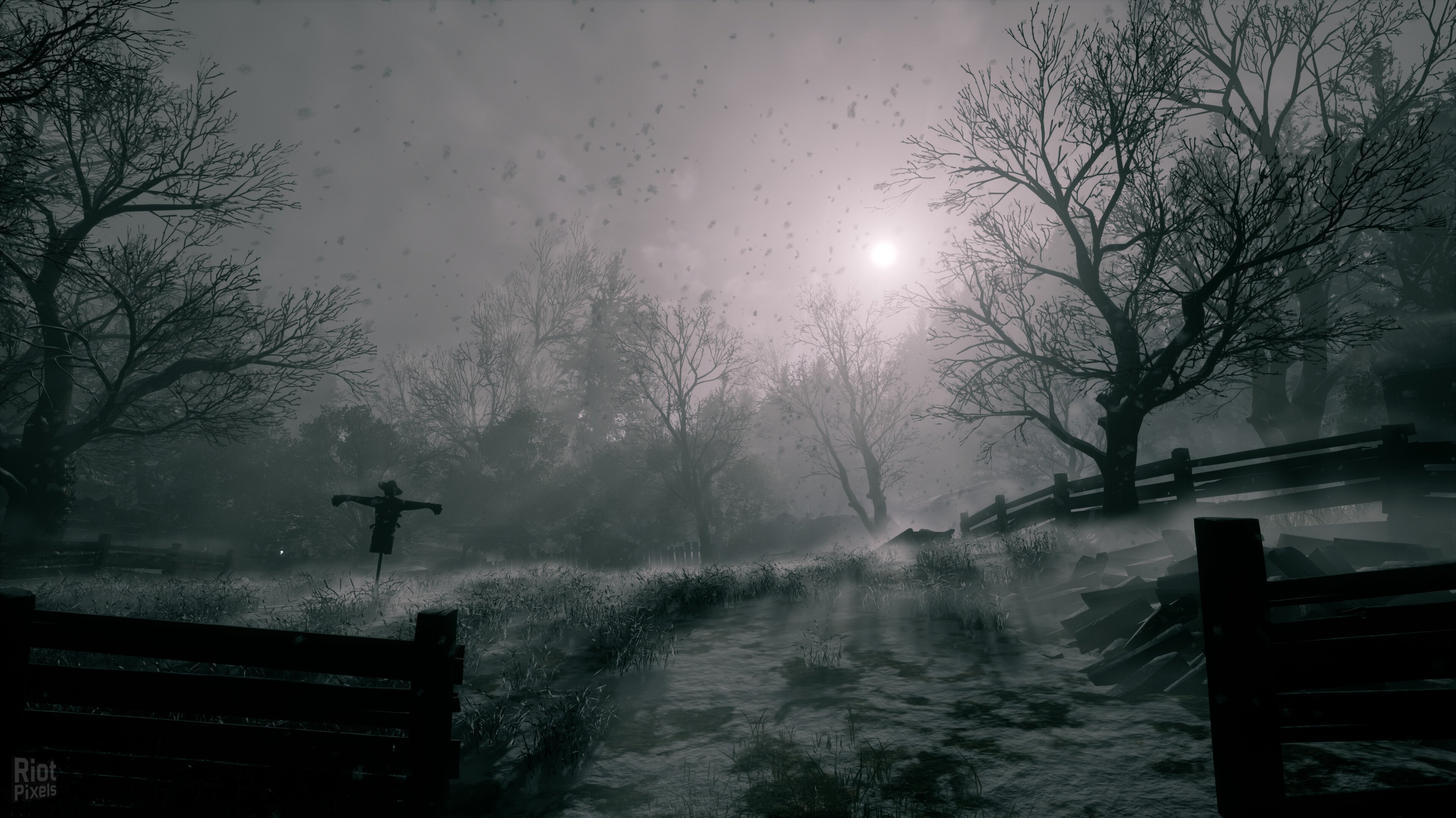 [3]-She’s Leaving Download