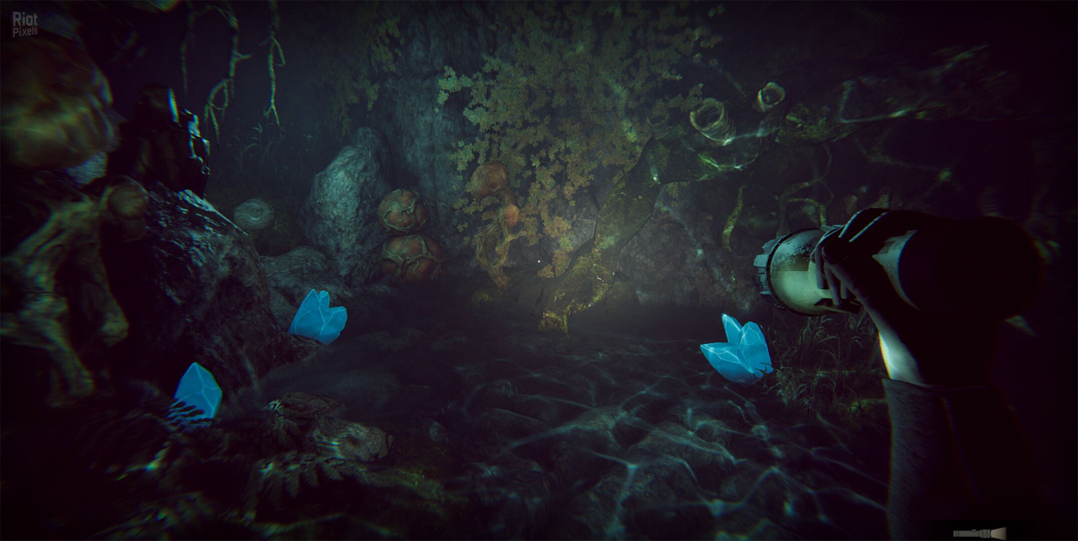 [5]-Morphos Download