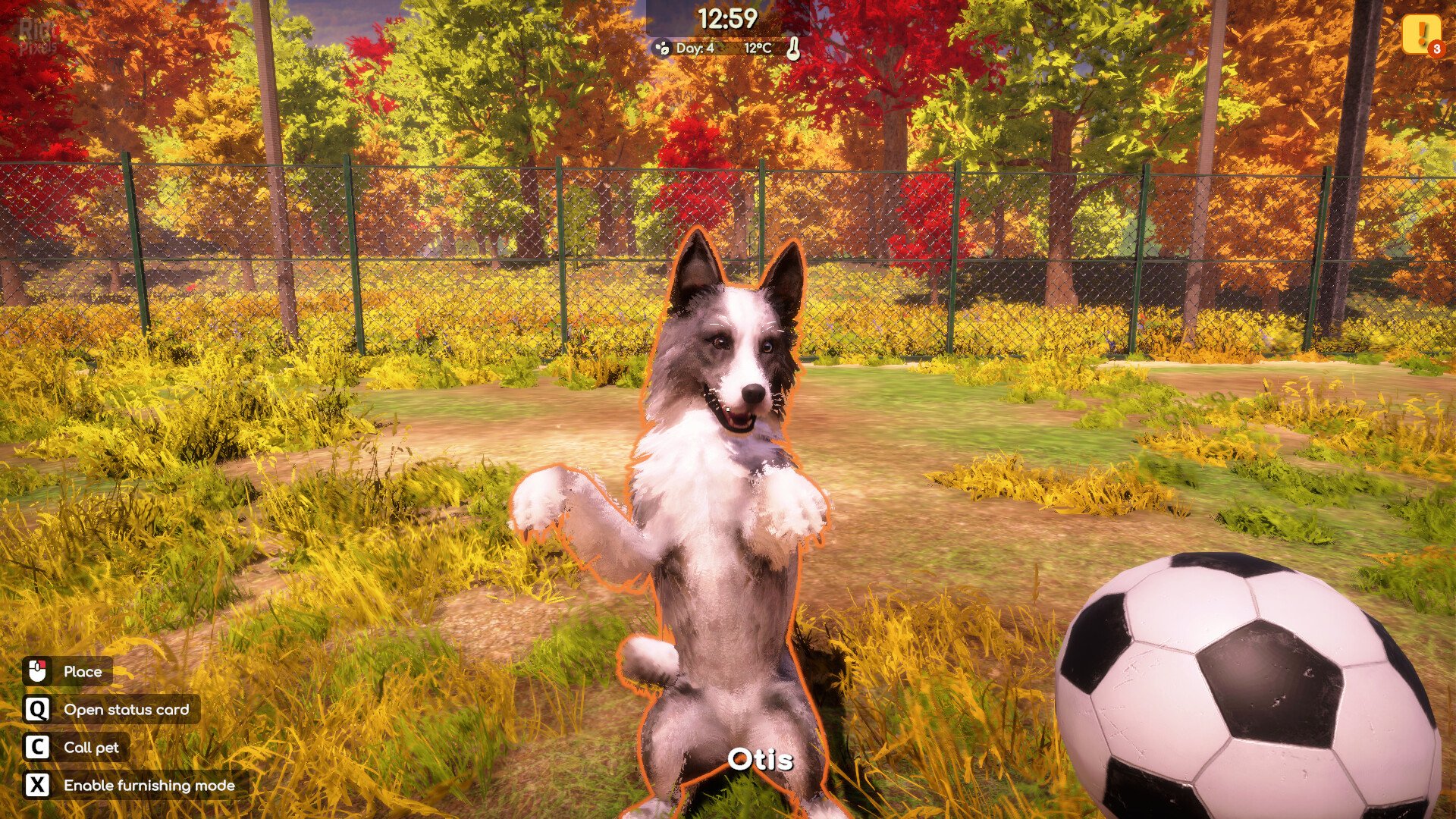 [12]-Animal Shelter 2 – v1.1.0 + Little Friends DLC Download