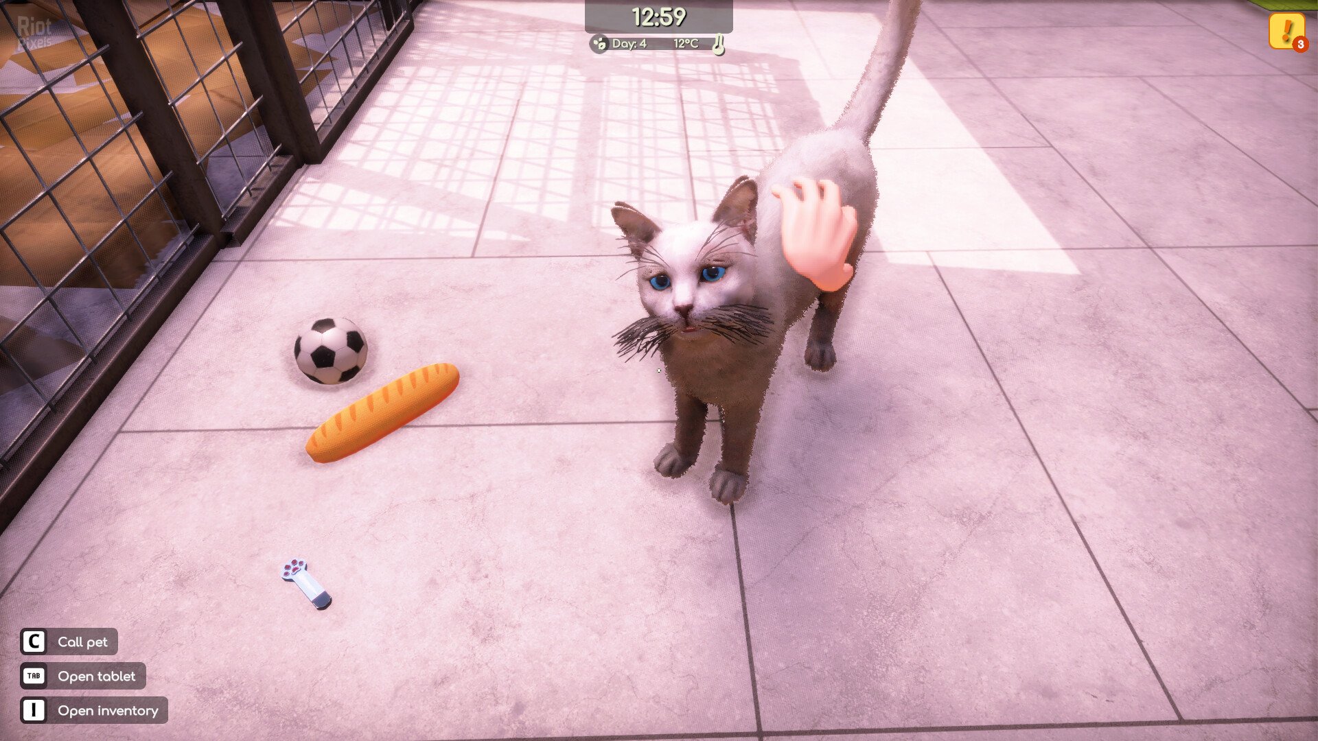[8]-Animal Shelter 2 – v1.1.0 + Little Friends DLC Download